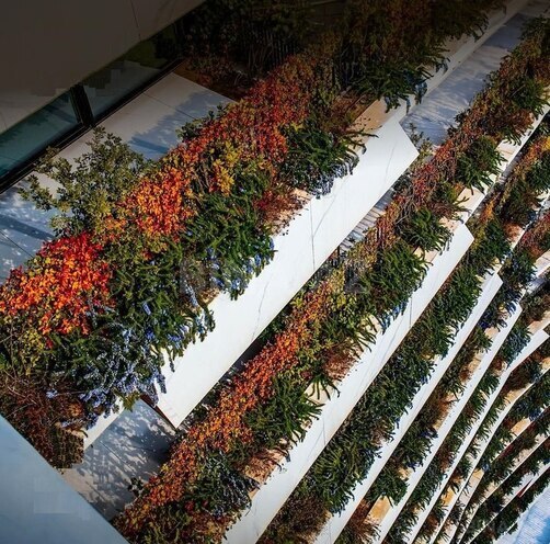 4 otaqlı yeni tikili - İçəri Şəhər m. - 249 m² (21)
