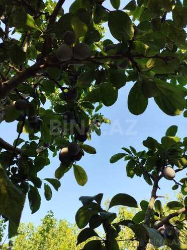 3 otaqlı həyət evi/bağ evi - Ramana q. - 180 m² (8)