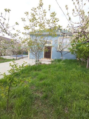 4 otaqlı həyət evi/bağ evi - İsmayıllı - 100 m² (1)