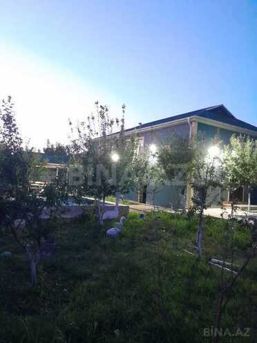 4 otaqlı həyət evi/bağ evi - İsmayıllı - 100 m² (4)