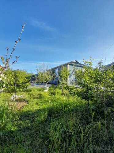 4 otaqlı həyət evi/bağ evi - İsmayıllı - 100 m² (5)