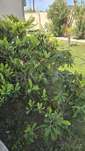 5 otaqlı həyət evi/bağ evi - Fatmayı q. - 270 m² (20)