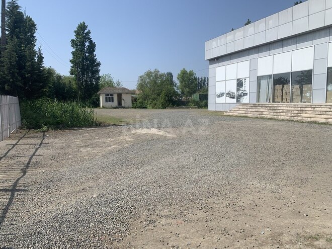 Объект - Ленкорань - 432 м² (17)