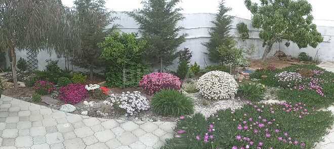 5 otaqlı həyət evi/bağ evi - Albalılıq q. - 200 m² (3)