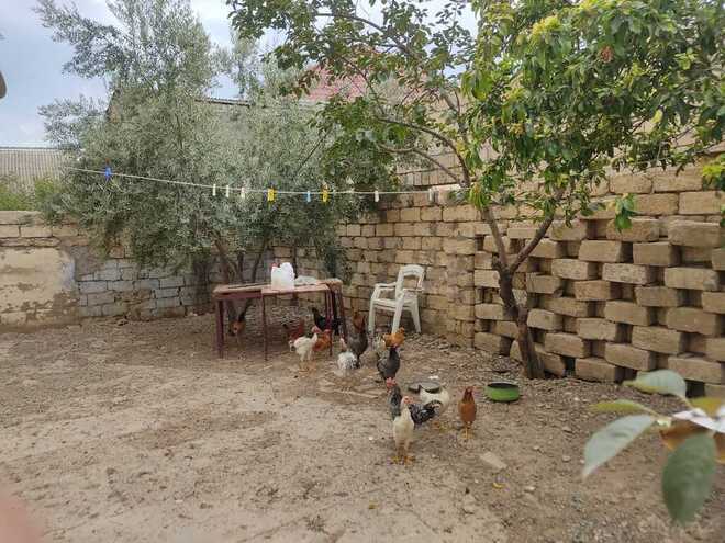 6 otaqlı həyət evi/bağ evi - Sulutəpə q. - 200 m² (14)