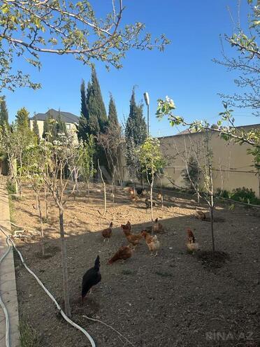 Продаётся 8-комн. дом/дача 400 м², пос. Мардакан, photo 30 from 32