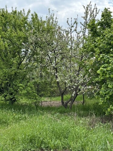 Участок - Гянджа - 31 сот (5)