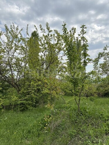 Участок - Гянджа - 31 сот (9)