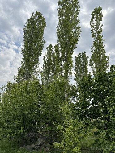Участок - Гянджа - 31 сот (10)