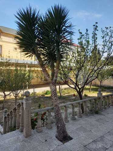 8 otaqlı həyət evi/bağ evi - Həzi Aslanov q. - 350 m² (15)