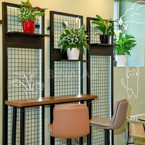 Obyekt - Nərimanov r. - 75 m² (10)