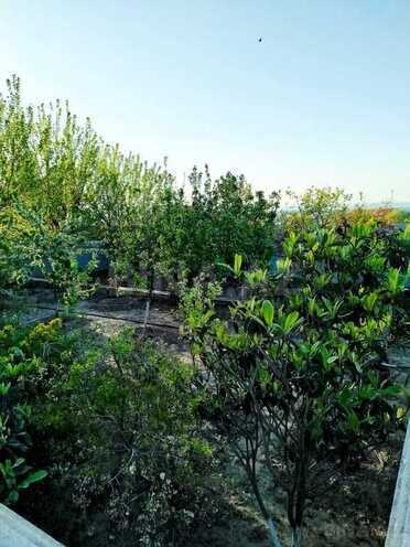 6 otaqlı həyət evi/bağ evi - Novxanı q. - 120 m² (2)