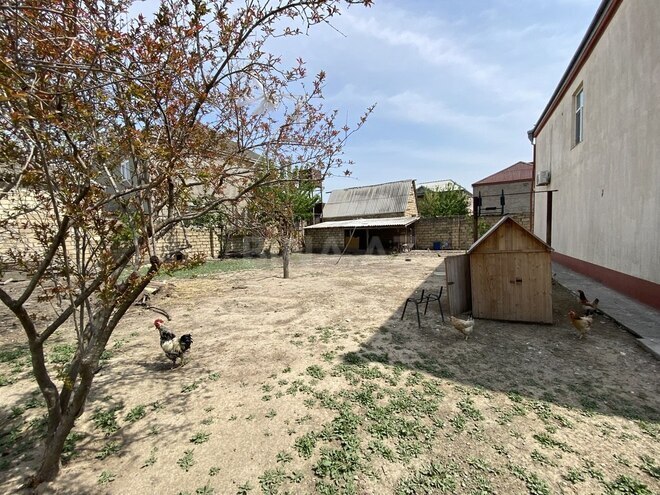 6 otaqlı həyət evi/bağ evi - Biləcəri q. - 320 m² (4)