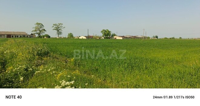 Участок - Губа - 4250 сот (3)