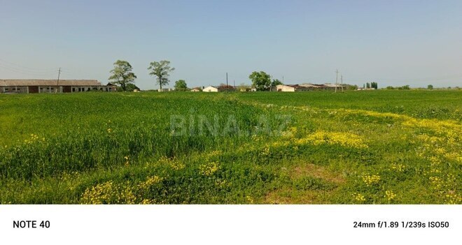 Участок - Губа - 4250 сот (2)