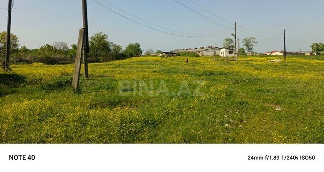 Участок - Губа - 4250 сот (6)