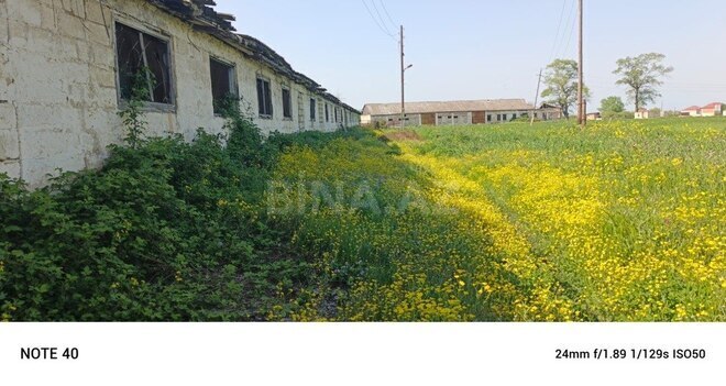 Участок - Губа - 4250 сот (18)