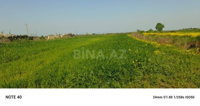 Участок - Губа - 4250 сот (13)