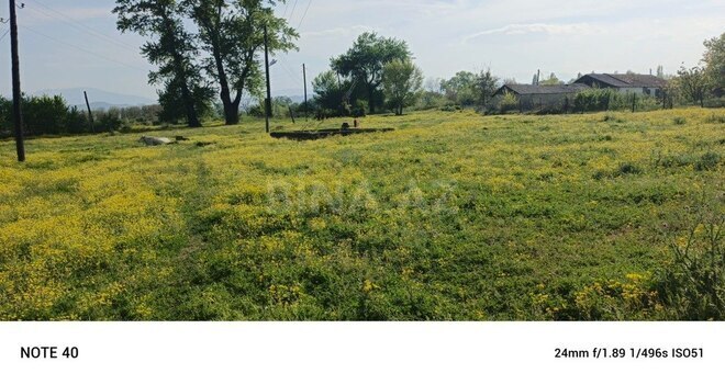 Участок - Губа - 4250 сот (25)