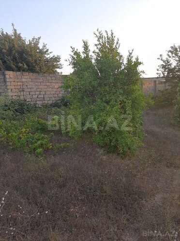 Участок - пос. Нардаран - 12 сот (15)