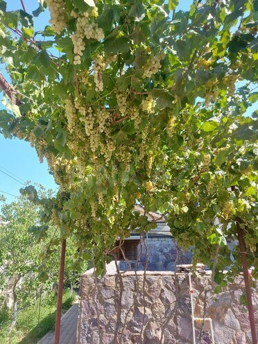 3 otaqlı həyət evi/bağ evi - Mərdəkan q. - 100 m² (15)