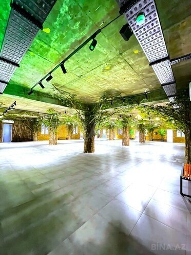 Продаётся 11-комн. офис 1 400 м², м. Шах Исмаил Хатаи, photo 12 from 25