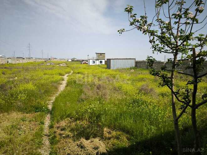 Продаётся  участок 103 сот, Сураханский  р., photo 10 from 16