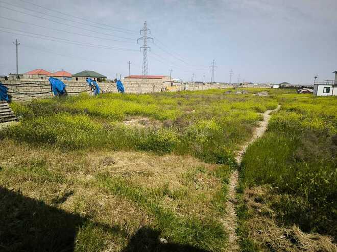 Продаётся  участок 103 сот, Сураханский  р., photo 9 from 16