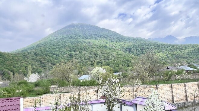 5 otaqlı həyət evi/bağ evi - Qəbələ - 200 m² (1)