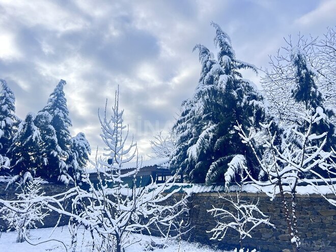 5 otaqlı həyət evi/bağ evi - Qəbələ - 200 m² (11)