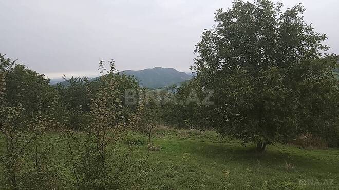 Участок - Губа - 95 сот (4)