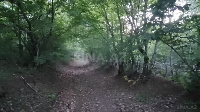 Участок - Губа - 95 сот (2)