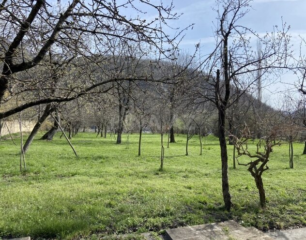 5 otaqlı həyət evi/bağ evi - Qax - 150 m² (4)