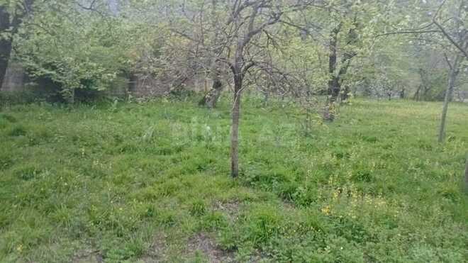 5 otaqlı həyət evi/bağ evi - Qax - 150 m² (20)