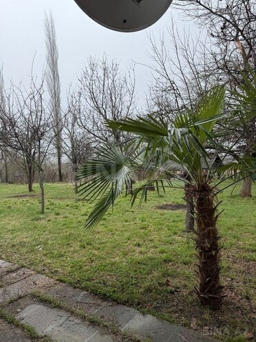 5 otaqlı həyət evi/bağ evi - Qax - 150 m² (6)