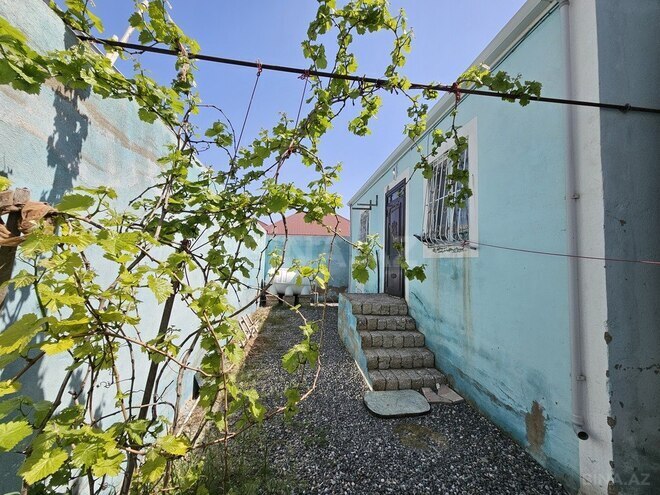 3 otaqlı həyət evi/bağ evi - Binə q. - 75 m² (1)