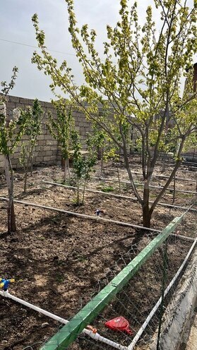 Продаётся 4-комн. дом/дача 180 м², пос. Кюрдаханы, photo 8 from 32