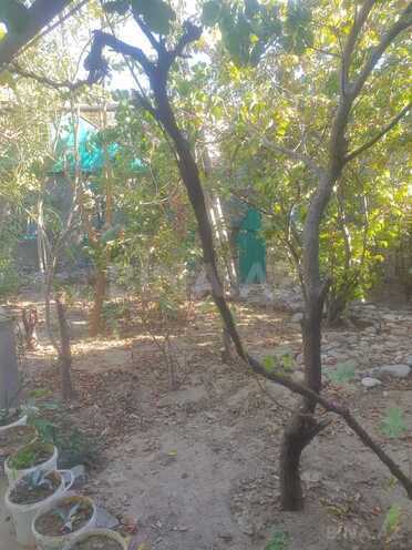 4 otaqlı həyət evi/bağ evi - Xocəsən m. - 120 m² (7)