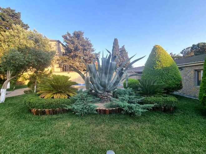 5 otaqlı həyət evi/bağ evi - Mərdəkan q. - 300 m² (5)
