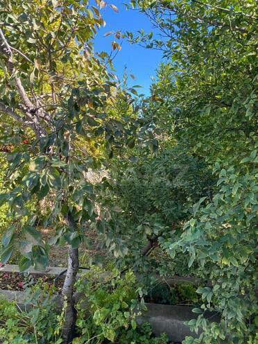 3 otaqlı həyət evi/bağ evi - Novxanı q. - 106 m² (5)