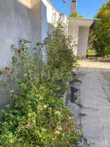 3 otaqlı həyət evi/bağ evi - Novxanı q. - 106 m² (15)