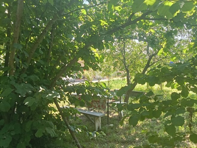 4 otaqlı həyət evi/bağ evi - Xudat - 120 m² (22)