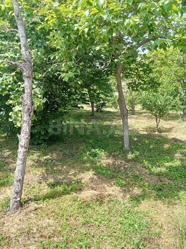 4 otaqlı həyət evi/bağ evi - Xudat - 120 m² (16)