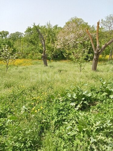 4 otaqlı həyət evi/bağ evi - Xudat - 120 m² (18)