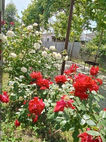 4 otaqlı həyət evi/bağ evi - Xudat - 120 m² (13)