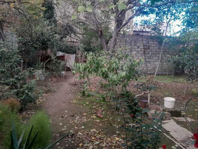 Продаётся  участок 7.7 сот, пос. Бадамдар, photo 3 from 6