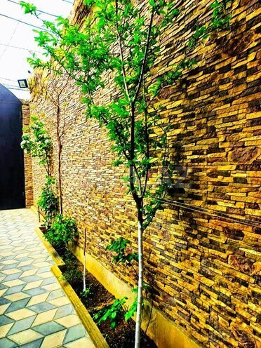 8 otaqlı həyət evi/bağ evi - Binəqədi q. - 300 m² (6)