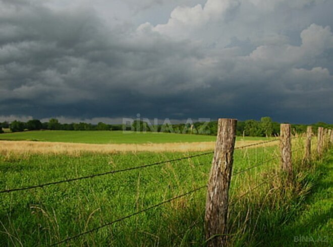 Satılır  torpaq 566 sot, photo 3 from 5