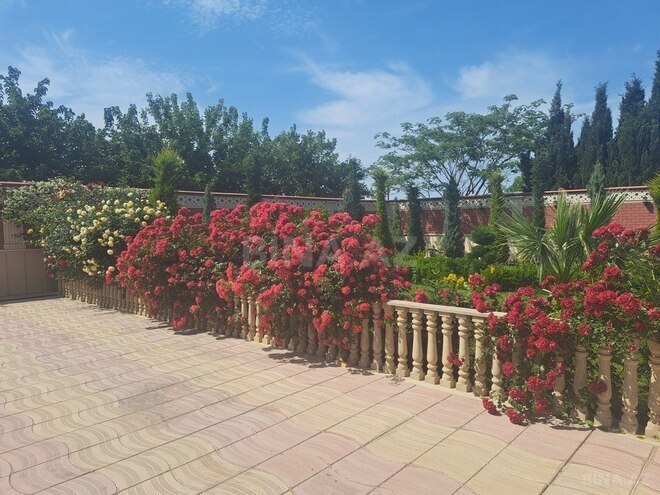 6 otaqlı həyət evi/bağ evi - Görədil q. - 410 m² (30)