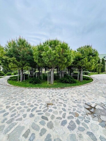 İcarəyə verilir 7 otaqlı həyət evi/bağ evi 500 m², Bilgəh q., photo 8 from 32